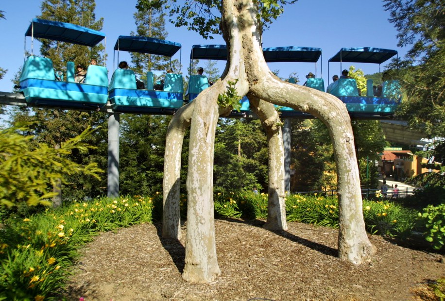 Gilroy Gardens Monorail ride circles a four-legged circus tree in Gilroy California, image