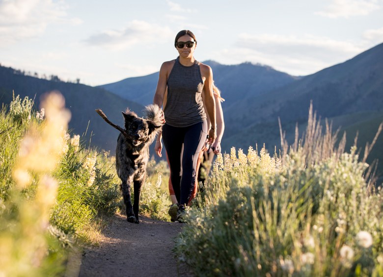 woman with dog lead group hike on White Cloud Trail in Sun Valley, Idaho, picture