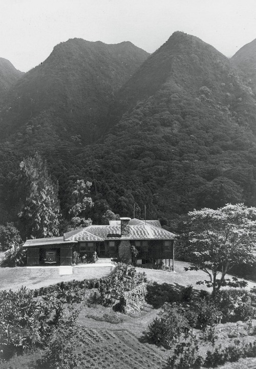 early 20th century view of Lyon Arboretum building and garden with mountain backdrop in Honoulu, Hawaii, picture