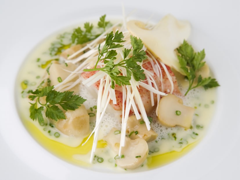 Bowl showcasing a lobster dish with matsutake mushrooms, photo