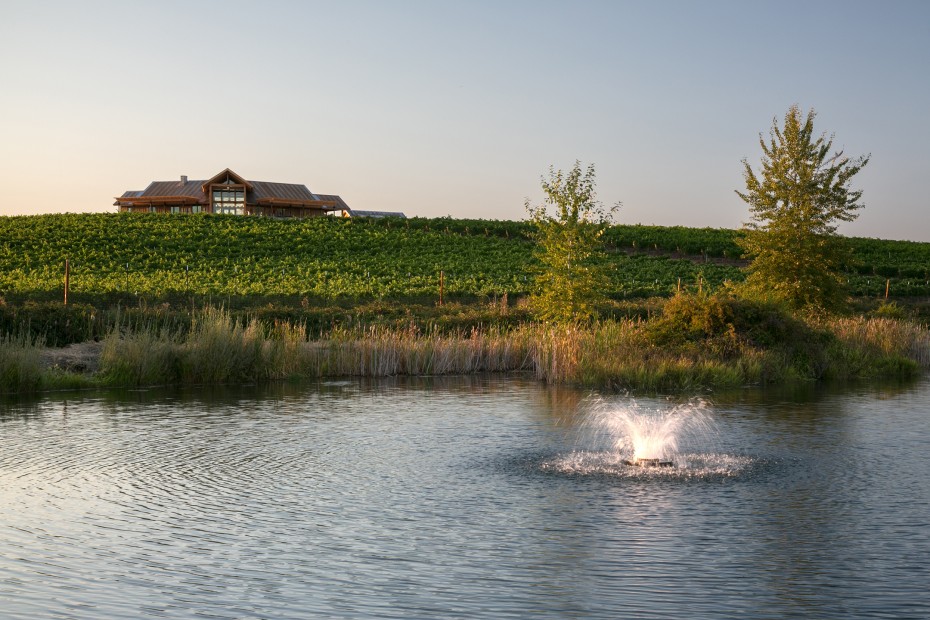 Kriselle Cellars vineyards outside of the tasting room near Crater Lake, Oregon, picture