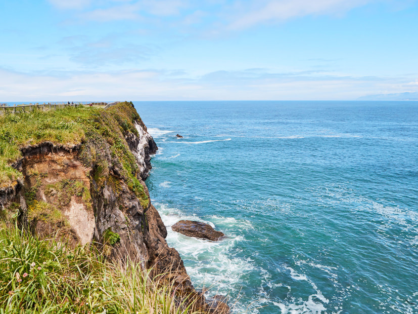 view south toward overlook above Boiler Bay, Oregon, picture