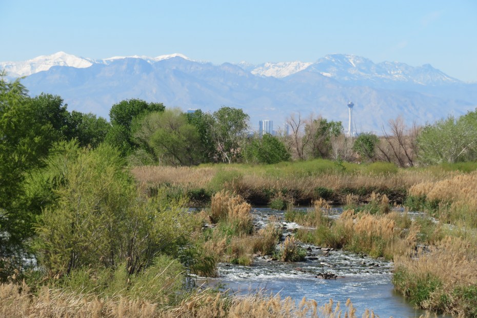 a stream running through Clark County Wetlands Park