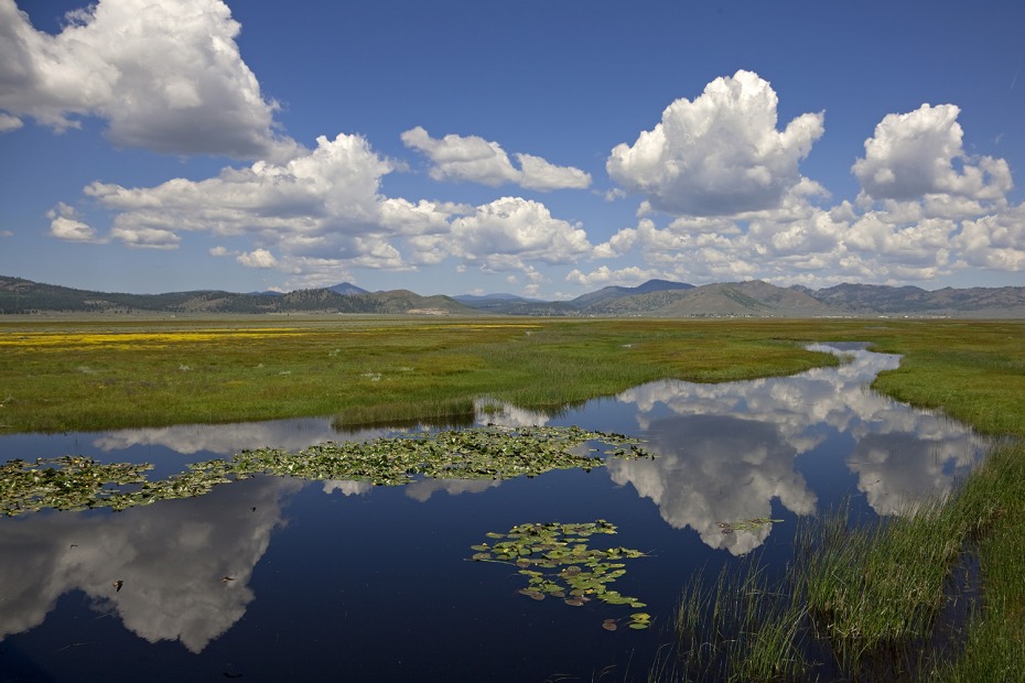 Blue skies and clouds are reflected in the Feather River in the Sierra Valley, photo