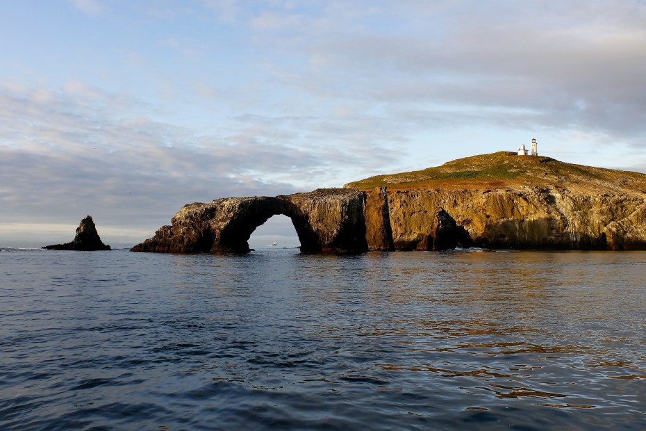 Marine sanctuary on Anacapa Island off the coast of California, part of the Channel Island National Park, photo