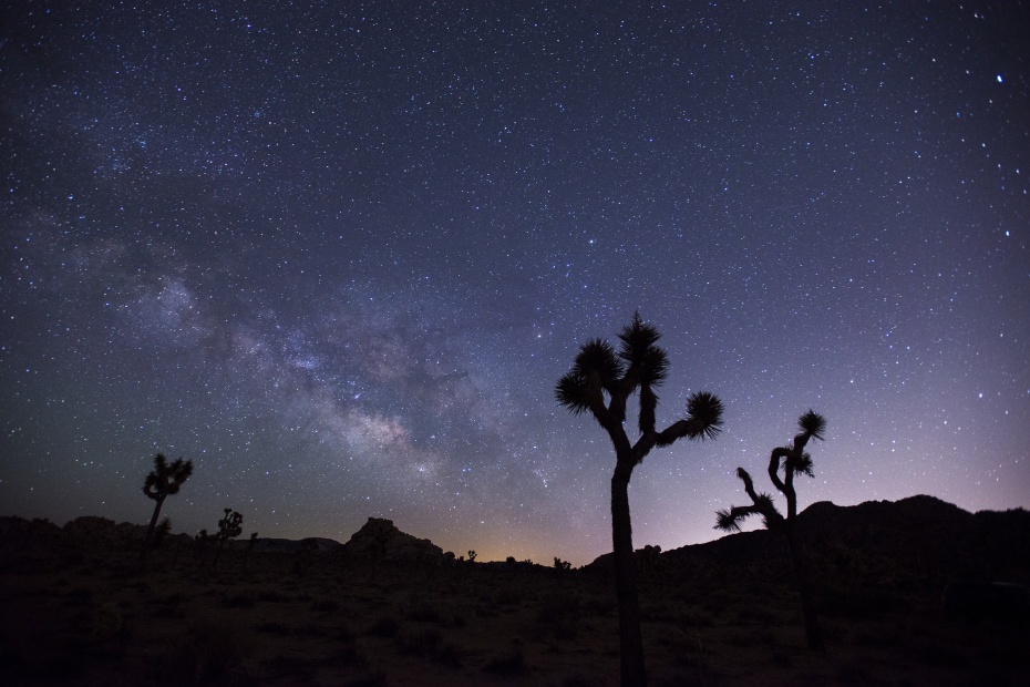 Milky Way above Joshua Tree National Park in California, image