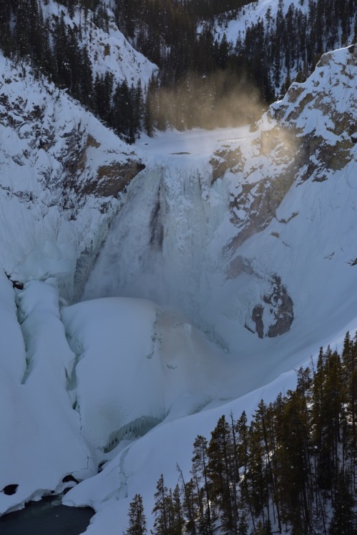 picture of a frozen water fall surrounded by snow during winter in Yellowstone