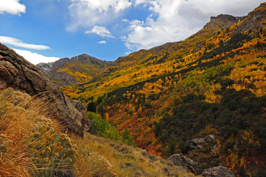 Ruby Lake National Wildlife Refuge's Lamoille Canyon, picture