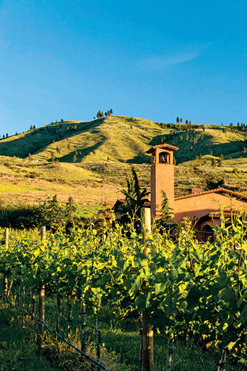 bell tower at Tsillan Cellars on Lake Chelan in Washington, image