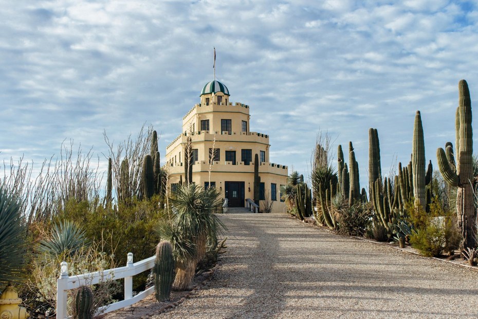 gravel path lined by cactus varieties leads up to Tovrea Castle entrance, Arizona, picture