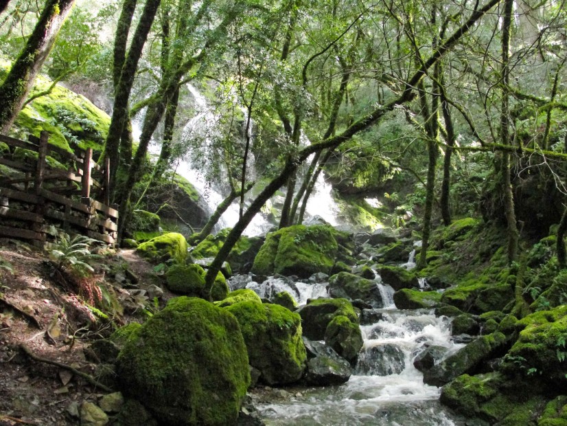 Water flows through moss-coated boulders at Cataract Falls in Mt. Tam, picture