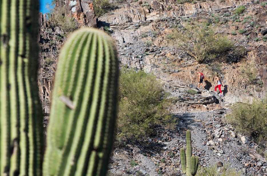 Hikers on Summit trail #300 Piestewa Peak.