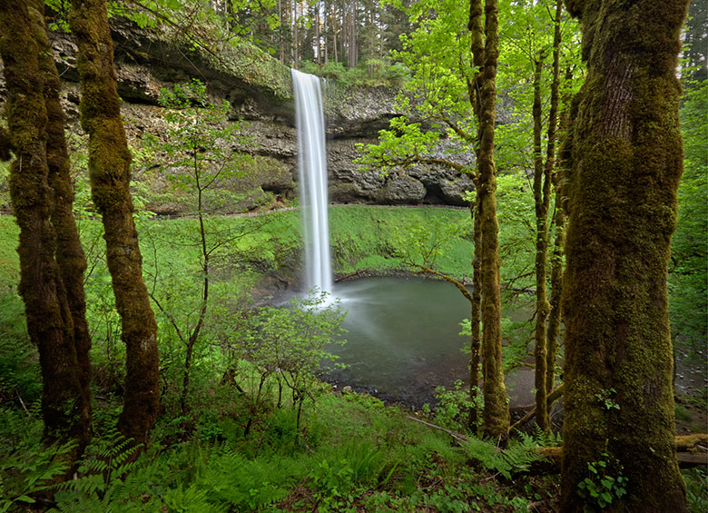 South Falls at Silver Falls State Park near Salem, Oregon, picture