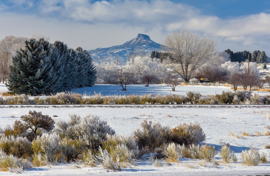 photo of a field in front of heart mountain covered in snow