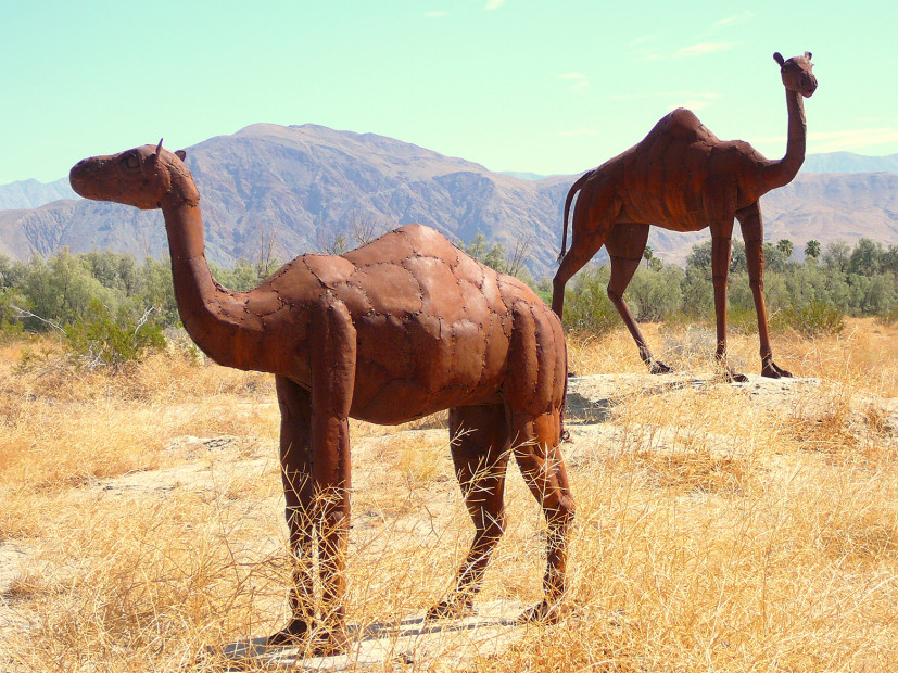 Camelids, Ricardo Breceda, Anza-Borrego Metal Sculptures in Borrego Springs, California, picture