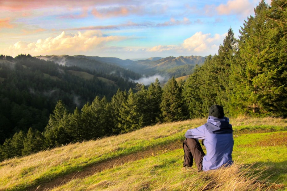A hiker rests on a hillside in Mount Tamalpais State Park, image