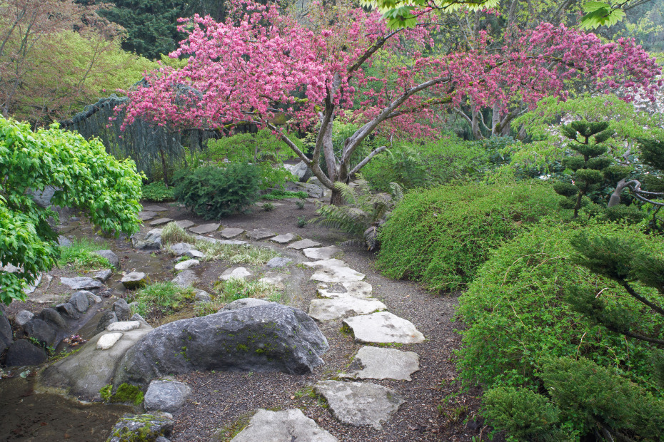 Stone path and flowering cherry tree in garden at Lithia Park Ashland Oregon