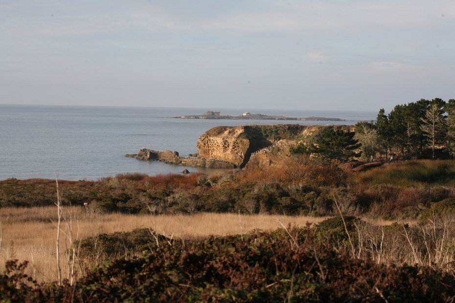 the scenic beaches and coastal marshes at Año Nuevo State Park, San Mateo County, California, picture