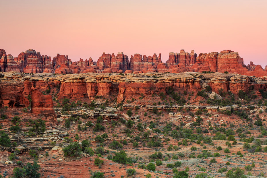 Needles District in Canyonlands National park at dawn, image