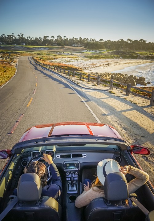 car driving 17-mile drive in Pebble Beach, California, picture