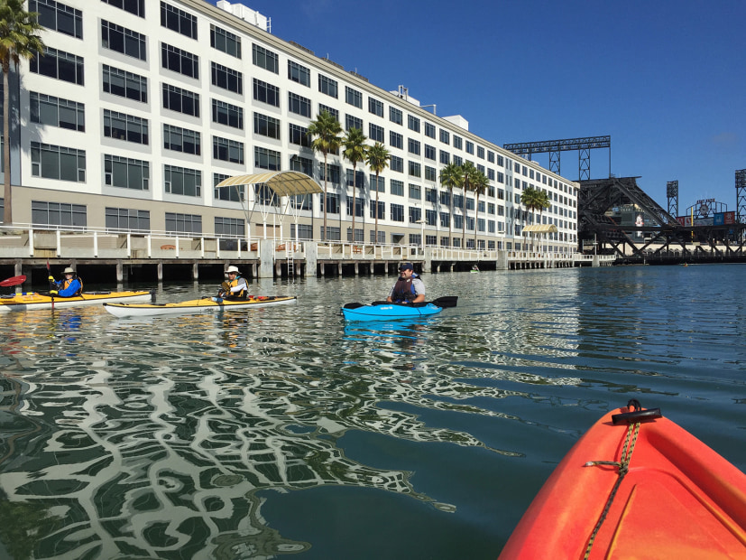 Kayakers on San Francisco's Mission Creek against a backdrop of AT&T Park, picture