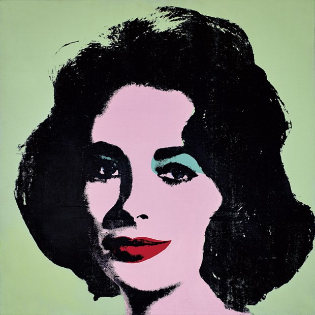 Andy Warhol's Liz #3 at the Art Institute of Chicago, picture
