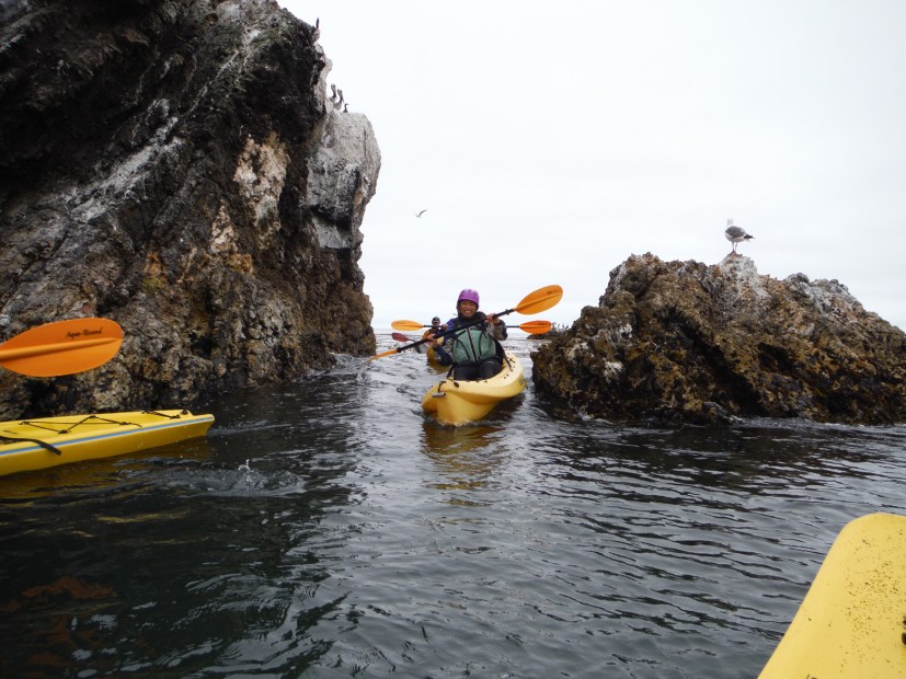 Kayaking in the coves, picture