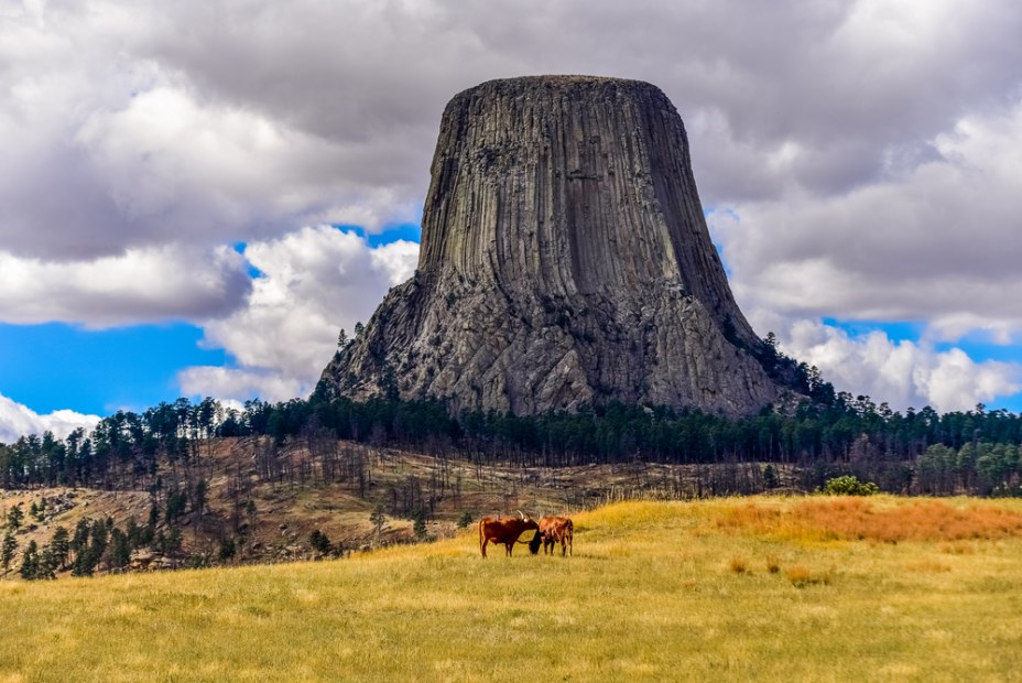 Wyoming's Devils Tower, image
