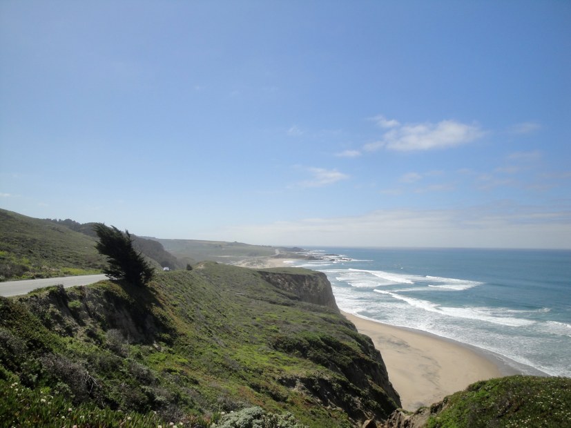 Pescadero State Beach, picture