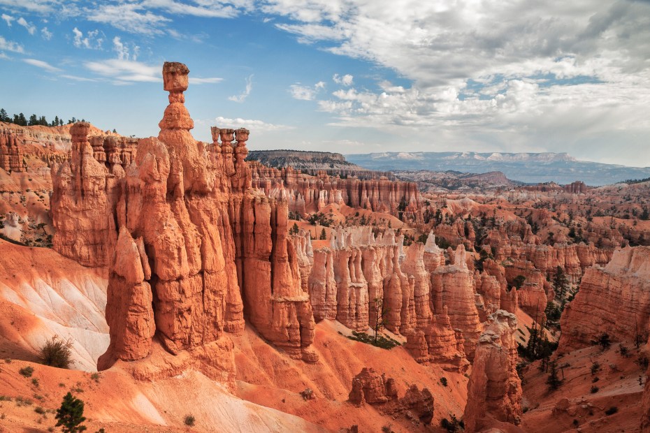 Thor's Hammer rises above the surrounding hoodoos in Bryce Canyon, image
