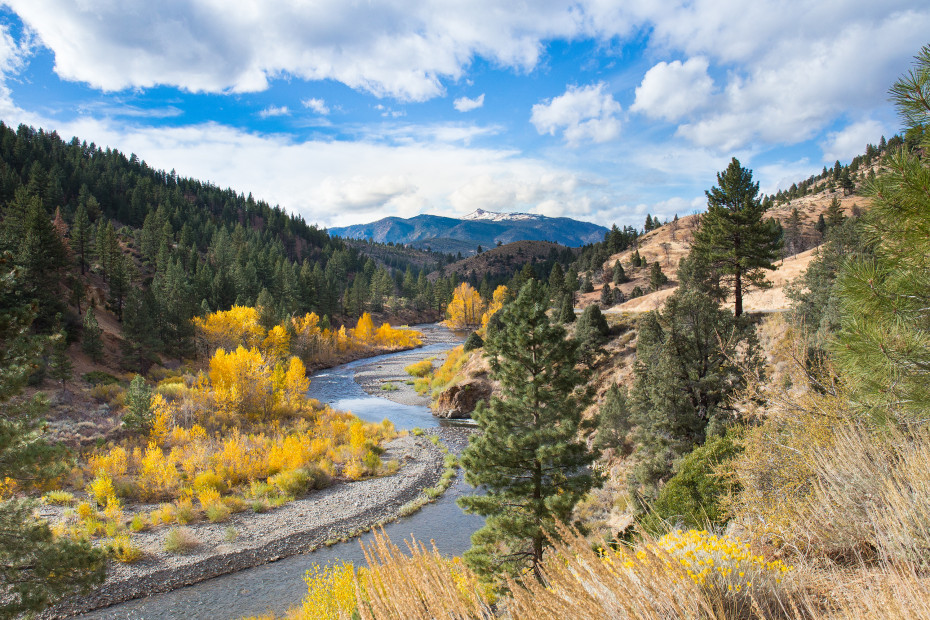 The Carson River flows through Hope Valley in fall, photo