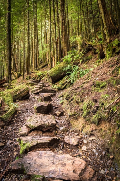 Rainbird Trail in Ketchikan, Alaska, picture