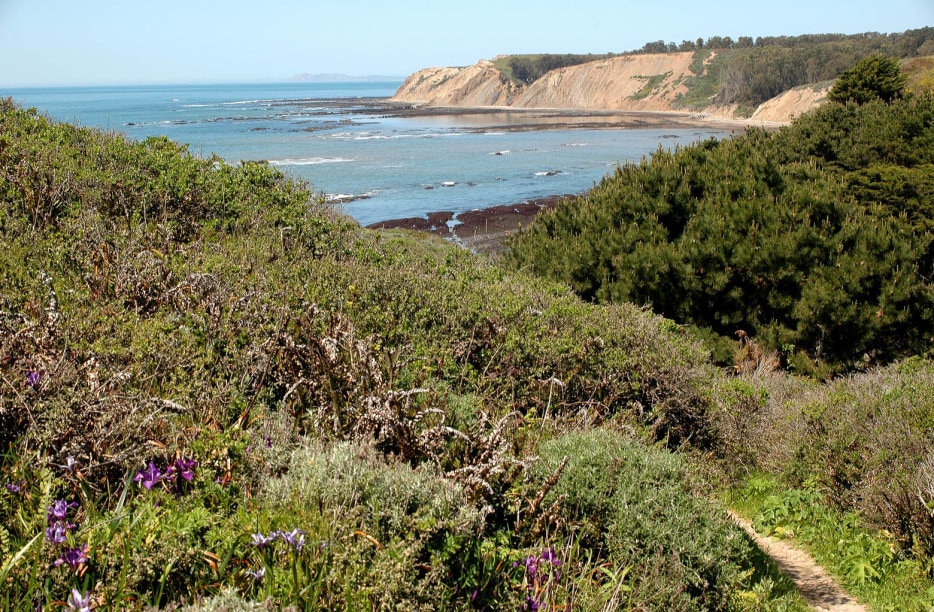 Trail view of Agate Beach Park, picture