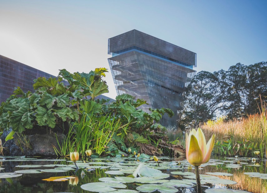 the de young museum exterior and pool of enchantment, picture