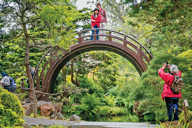 The Drum Bridge in San Francisco's Golden Gate Park arcs over a pond, California, picture