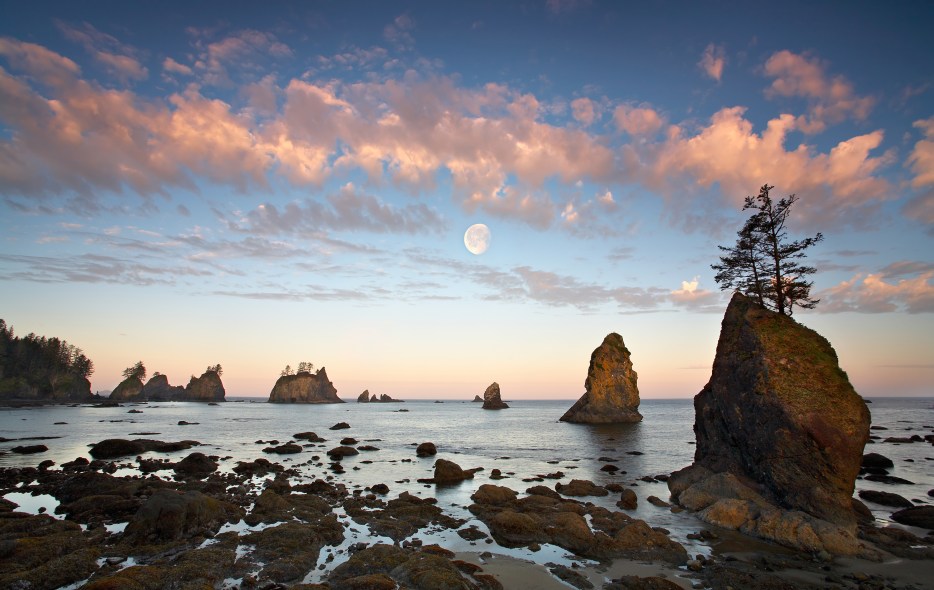 Shi Shi Beach in Neah Bay, Washington at sunrise, photo