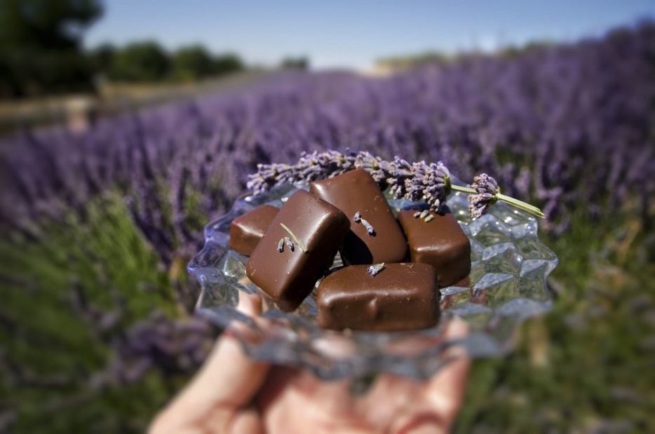a hand holds a small, clear, cut-glass dish with chocolate truffles garnished with lavender sprigs outdoors with lavender field background
