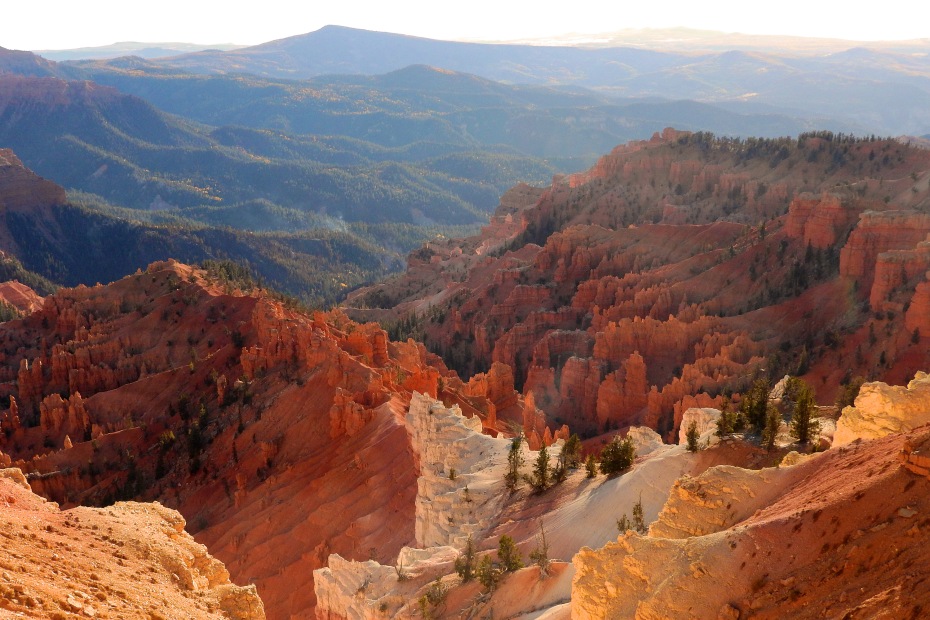 Red rocks at Cedar Breaks National Monument, Utah.