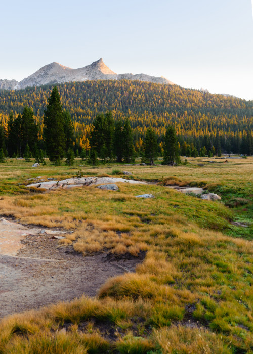 Sunset over Tuolumne Meadows in Yosemite National Park, California