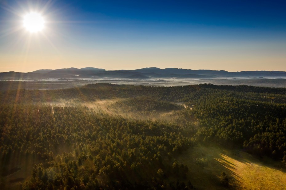 aerial view of the Black Hills in South Dakota, picture