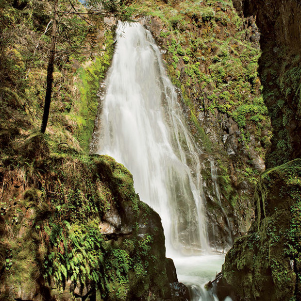 Water cascades down the Susan Creek Falls, image