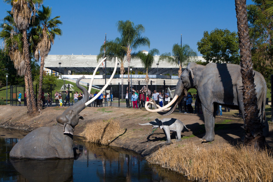 Visitors peer into the tar pits at La Brea Tar Pits on Miracle Mile in Los Angeles, photo