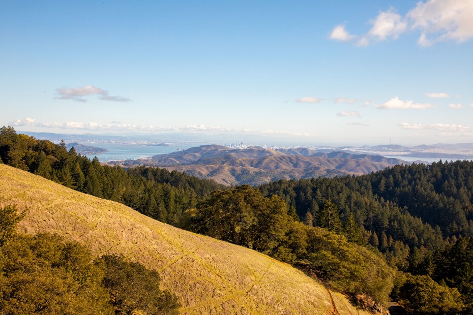 panoramic view of southern Marin County, the San Francisco skyline, and the bay from Trojan Point on California's Mount Tamalpais, picture