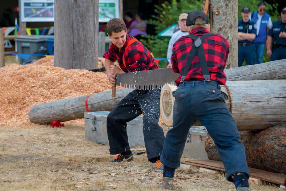 pair of lumberjacks team up to saw a log at the Evergreen State Fair in Monroe, Washington, picture