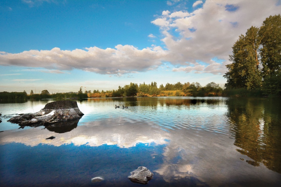 West Beaver Marsh viewed from a trail in Talking Water Gardens, Albany, Oregon, picture