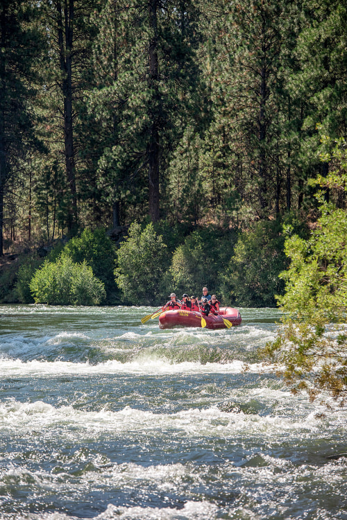 rafters bracing for the rapids on the Deschutes River near Bend, Oregon, picture