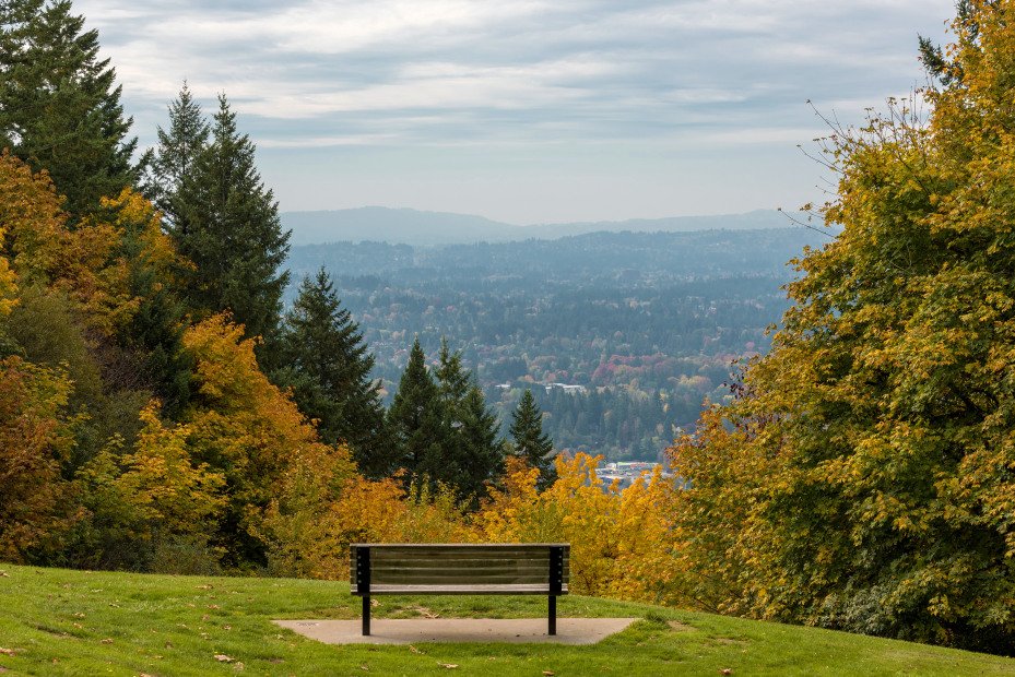 photo of a park bench overlooking Portland Oregon on a cloudy autumn morning