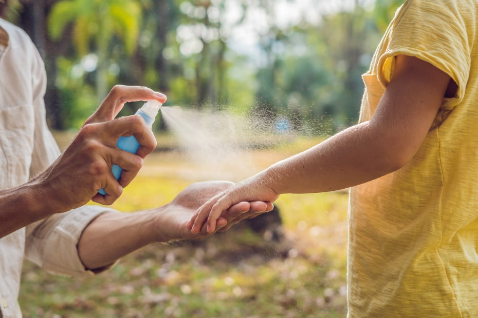 Adult applies bug spray to a child, image