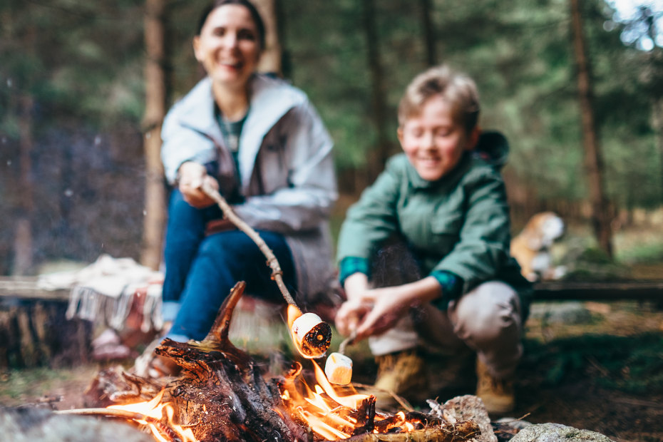 Mother and son roast marshmallows over the campfire, image