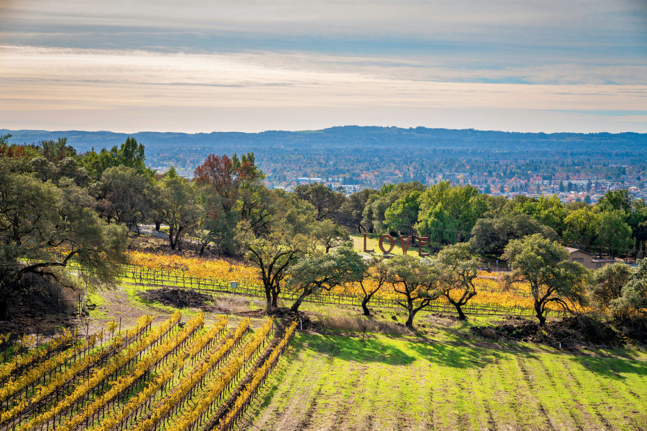 panoramic view from Paradise Ridge at the city of Santa Rosa, California